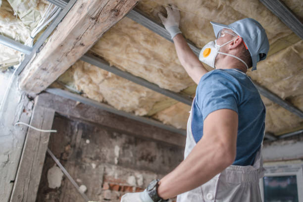 Best Insulation Maintenance and Repair in Woodland Heights, PA